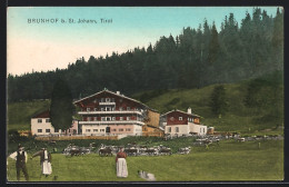 AK St. Johann In Tirol, Brunnhof, Kühe Auf Der Weide  - Sonstige & Ohne Zuordnung