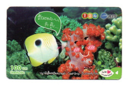 Poisson Fish  BD Carte Thaïlande Card (K 274) - Thaïland