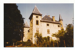 Photo 14 X 9 Isère LE CHEYLAS Le Château Août 1984 - Other & Unclassified
