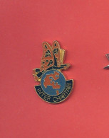 Rare Pins Aviation Inter Chartair Papillon Ab137 - Avions