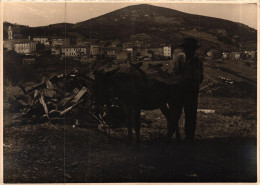 CORSE - PIANA - Villageois Chargeant Son âne Bâté De Bois - Photographie D'art Originale - - Autres & Non Classés