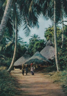 Afrique En Couleurs No.3213  Village Sous Les Palmes - Sin Clasificación