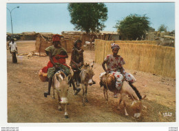 SENEGAL Départ Pour Le Marché Femme Bébé Et Jeunes Filles Sur ânes VOIR DOS Edit ADP Dakar N°8154 - Senegal