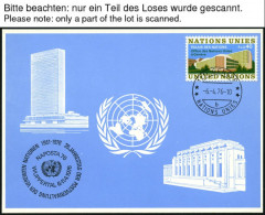 UNO - GENF-BLAUE KARTEN 1976-88, Ca. 96 Verschiedene Blaue Karten, Dabei 1979-85 Komplett, Pracht, Mi. 287.30 - Andere & Zonder Classificatie