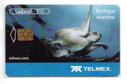 Tortue  Tortoise Turtle  Télécarte Mexique Phonecard  (K 109) - Mexiko