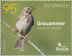 Austria - 2024 - BirdLife International - Corn Bunting - Mint Stamp - Nuevos