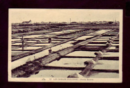 85 - SABLES-D'OLONNE - LES MARAIS SALANTS - ANIMÉE -  - Sables D'Olonne