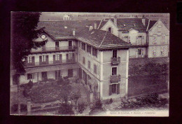 88 - PLOMBIERES-les-BAINS - HOPITAL THERMAL ET HOSPICE - ANIMÉE -  - Plombieres Les Bains