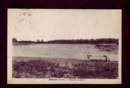 89 - BLENEAU - ETANG DES LUNEAUX - ANIMÉE -  - Bleneau