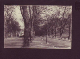 74 - ANNECY - PROMENADE DU PAQUIER - ANIMÉE -  - Annecy