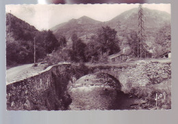 65 - ARGELES-GAZOST - VIEUX PONT SUR LE GAVE -  - Argeles Gazost