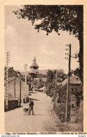 19. CPA - CHAMBERET -  Avenue De La Mairie - Série La Corrèze Illustrée - Homme Et Son Chien - - Sonstige & Ohne Zuordnung