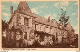 19. CPA - BRIGNAC LA PLAINE - Le Chateau - Colorisée - - Sonstige & Ohne Zuordnung