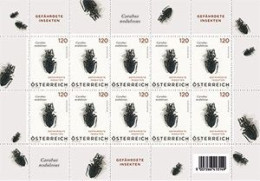 Austria - 2024 - Beetles - Carabus Nodulosus - Black Ground Beetle - Mint Miniature Stamp SHEET - Nuovi