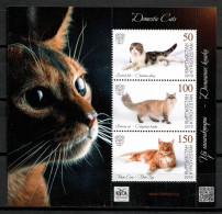 Kyrgyzstan 2019 / Mammals Cats MNH Gatos Mamíferos Chats Katzen Saugëtiere / Cu19864  33-36 - Chats Domestiques