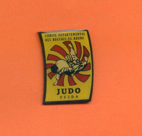 Rare Pins Judo Ffjda Comite Bouches Du Rhone Ab161 - Judo