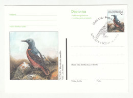 Slovenia, Slegur Common Rock Thrush Illustrated Postal Stationery Dopisnica Unused B240401 - Songbirds & Tree Dwellers