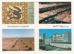 The Development In The Libyan Arab Republic Old Unused Postcard M240401 - Libye