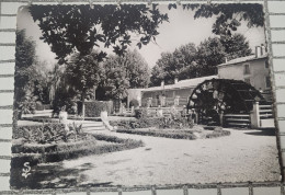 Lisle Sur Sorgues. Vaucluse. Un Coin Du Jardin Public - L'Isle Sur Sorgue