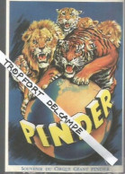 XW // Vintage // Superbe Carton Publicitaire Ancien Cirque PINDER // Lion Tigre Souvenir Du Cirque Géant PINDER - Werbung