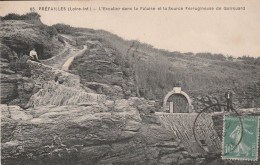 Saint Nazaire (44 - Loire Atlantique) L'escalier Dans La Falaise Et La Source Ferrugineuse De Quirouard - Saint Nazaire