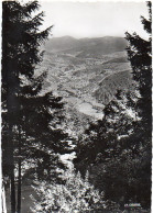 68 - Vallée De MUNSTER - Vue De L'Altenberg - Munster