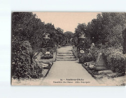 ASNIERES : Cimetière Des Chiens, Allée Principale - état - Asnieres Sur Seine