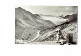 Cpm - 65 - Pyrénées  - Col Du Tourmalet - N° 560 JOVE - Descente Dur Barèges - Borne Route Du Pic - Chien - - 1960 - Other & Unclassified