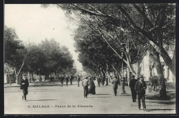 Postal Malaga, Paseo De La Alameda  - Malaga