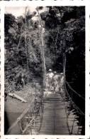 PHOTO 9X6 / CAMEROUN - PONT DE LIANES à ABANGA ET MANGUEGNE - Afrique