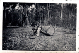 PHOTO 9X6 / GABON - AZINGO - TRAVAUX FORESTIERS - Afrique