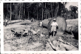 PHOTO 9X6 / GABON - AZINGO - TRAVAUX FORESTIERS - Africa