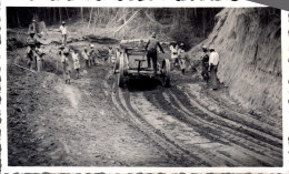 PHOTO 12X7 / GABON - AZINGO - TRAVAUX FORESTIERS - Afrika