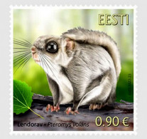 (!)  Estonia , ESTLAND Fauna - Siberian Flying Squirrel 2022 MNH  Mi 1054 - Estonie