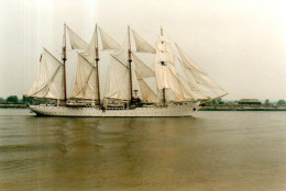 Voilier école Russe Sedov - Bateaux