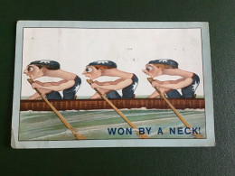 Renates Won By A Neck 1910 - Remo