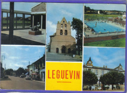 Carte Postale 31. Leguevin    Très Beau Plan - Sonstige & Ohne Zuordnung