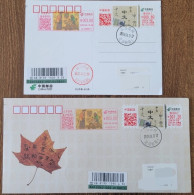 China Cover Chinese Day (Suzhou) Postage Label With The Same Subject Matter Postage Machine Stamp Replenishment On The F - Briefe
