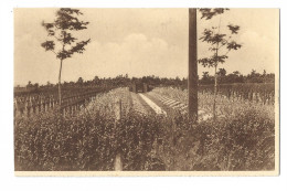 Zillebele  (Wijk Hooge)   -   Cimetière Militaire Allemand  -  Deutscher Kriegsfriedhof. - Cimetières Militaires