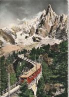 Chamonix - Train De Montenvers Et Aiguille Du Drû - Chamonix-Mont-Blanc