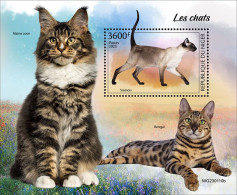 2024-03 - NIGER- CATS                1V  MNH** - Chats Domestiques