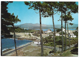 VISTA PARCIAL / PARTIAL VIEW.- BAYONA LA REAL / PONTEVEDRA - ( ESPAÑA ) - Pontevedra