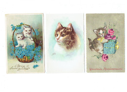 Lot 3 Cpa - Chat - Illustration - Edition Deriaz Signé ALOCH - 301/3 - Fleurs Cadeau Panier Myosotis - Katzen