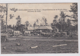 DOULAINCOURT, Forêt D'HEU, Un Train De BOIS. RARE. - Doulaincourt