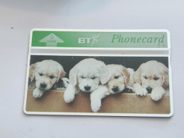 United Kingdom-(BTG-189)-Gundogs-(3)-Golden Retriever-(195)(5units)(327C82330)(tirage-500)(price Cataloge-15.00£-mint - BT Allgemeine