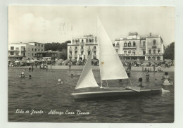 LIDO DI JESOLO - ALBERGO CASA BIANCA - VIAGGIATA FG - Venezia (Venice)