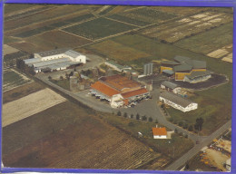 Carte Postale 31. Villaudric  Les Caves UPV Vue Aérienne   Très Beau Plan - Sonstige & Ohne Zuordnung