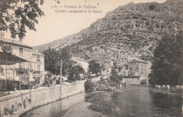 Fontaine De Vaucluse  Chemin Conduisant A La Source   No.2281 - Sonstige & Ohne Zuordnung