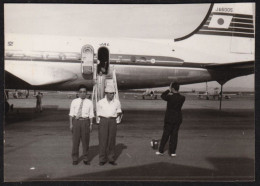 Jolie Photographie JAPON, Aéroport Tarmac Avion Compagnie Japan Airlines, JA6005, 7,7 X 5,4 Cm - Luchtvaart