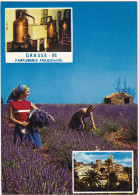 4 Cartes : PARFUMERIE FRAGONARD . à Grasse: Distillation ,Alambic ,EZE:Laboratoire ,Jasmin  Et Rose - Other & Unclassified